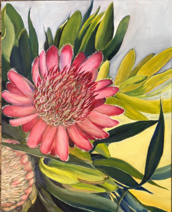 Protea Punctata