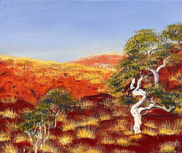 Snappy Pilbara Morning
