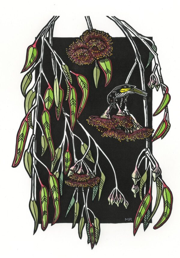 Silver Princess with Honeyeater