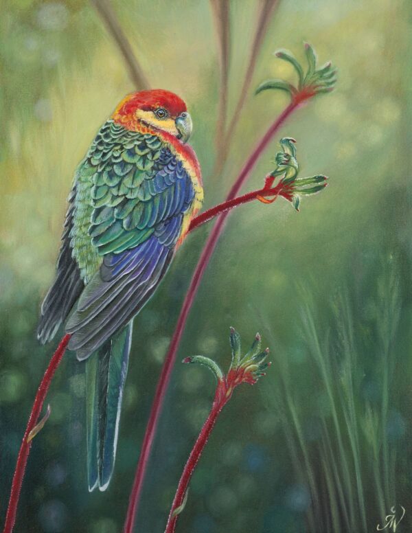 The Voice of Nature