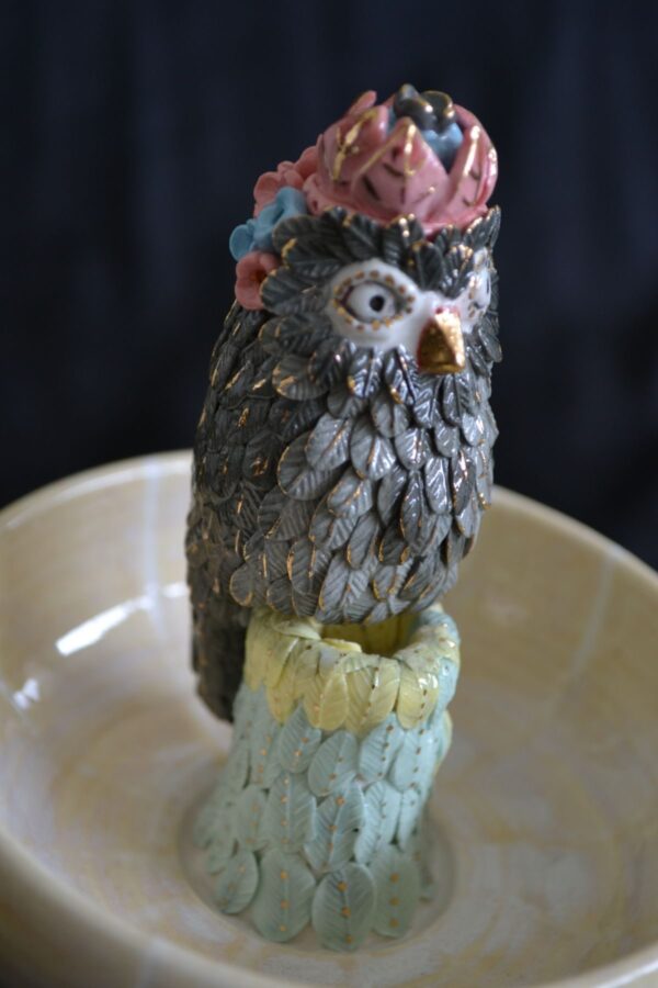 Owlflower