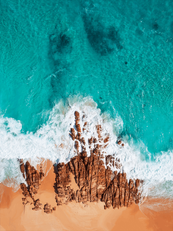 Shoreline Symphony