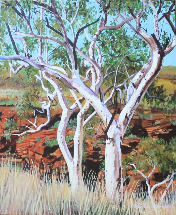 Snappy Gums at Hancock Gorge